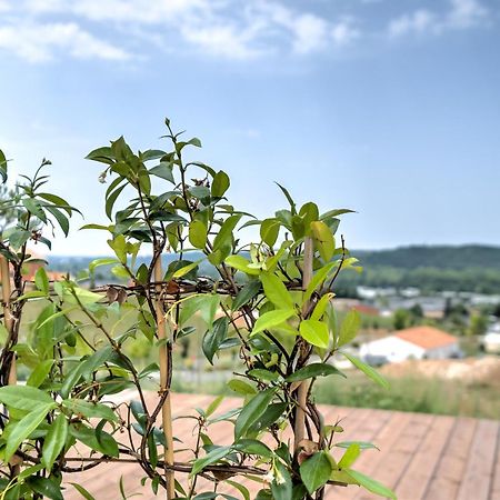 L'Elegante Confort, Clim & Vue Imprenable Bassillac Экстерьер фото
